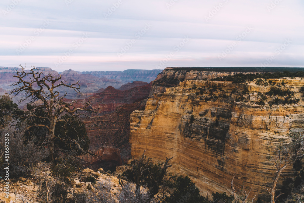 Fototapeta premium grand canyon