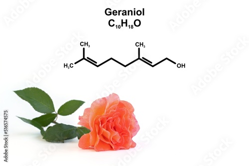 Fototapeta Naklejka Na Ścianę i Meble -  Structural formula of geraniol and an orange rose.
