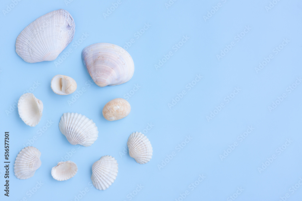 Variety of seashells on blue background,Collection of seashells,Top view Variety of seashells on blue background,Collection of seashells,Top view