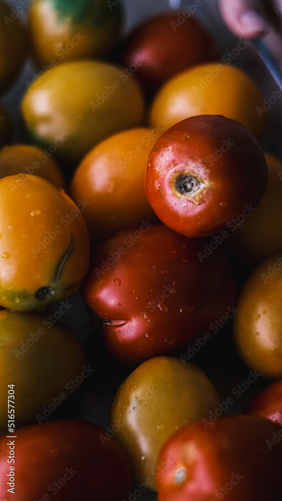 Fresh vegetables. Yellow tomatoes and red tomatoes. Fresh vegetables on table. Market vegetable, garden.Diet concept. Healthy organic vegetarian food. Fresh vegetables. Yellow tomatoes and red tomatoes. Fresh vegetables on table. Market vegetable, garden.Diet concept. Healthy organic vegetarian food.