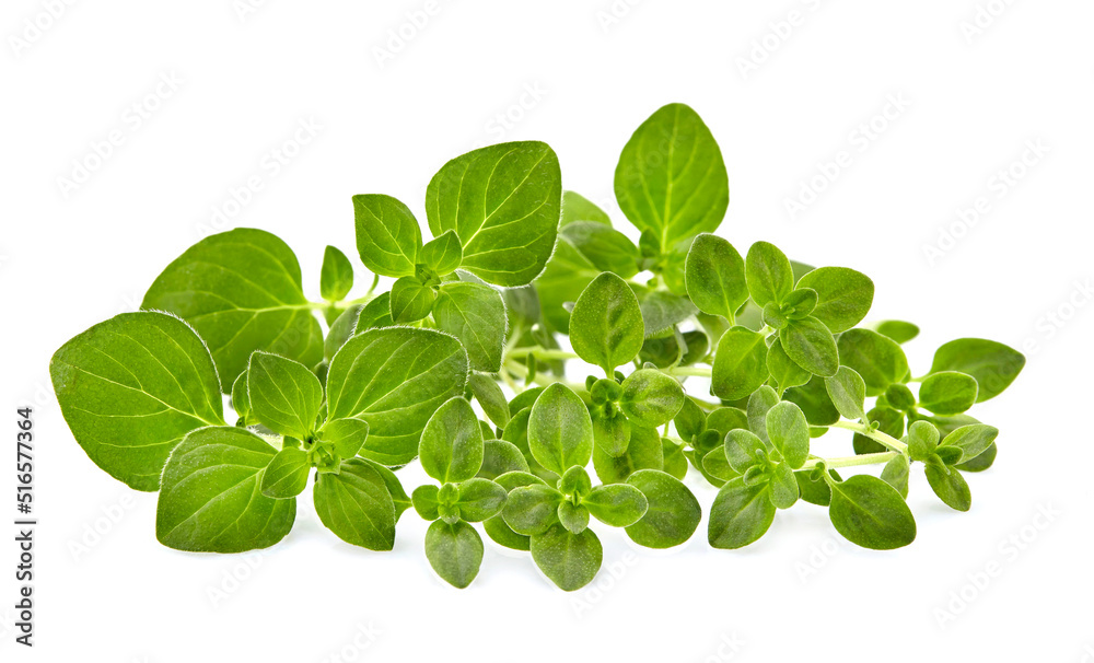 Oregano leaves with thyme isolated on white background. Mixture of herbs. Herbs fresh. Spices isolated. Oregano leaves with thyme isolated on white background. Mixture of herbs. Herbs fresh. Spices isolated.