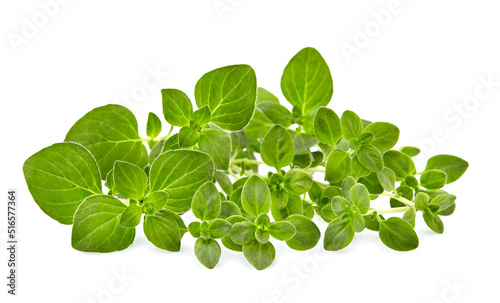 Oregano leaves with thyme isolated on white background. Mixture of herbs. Herbs fresh. Spices isolated.