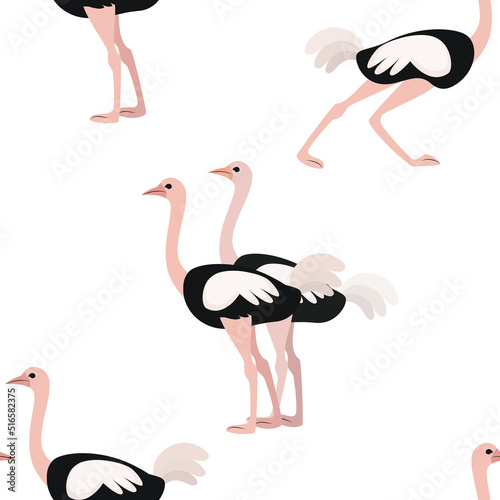 Ostrich on a white background. Seamless vector pattern.
