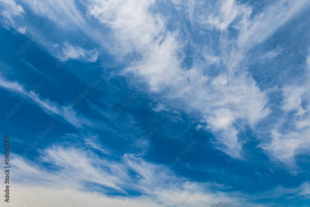 Fototapeta premium 空