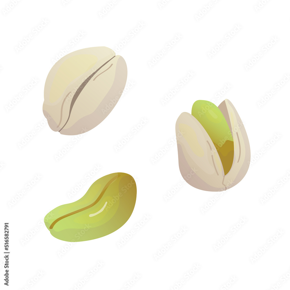 Obraz premium Vector pistachio icon. Pistachio nuts in the shell. Watercolor imitation.