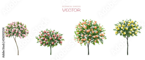 Vector watercolor blooming flower tree or forest side view isolated on white background for landscape and architecture drawing,elements for environment or and garden,botanical element for section 