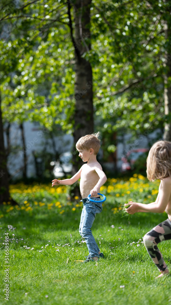 Fototapeta premium summer in the garden