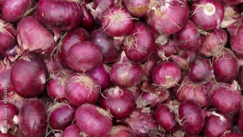 fresh organic onion from farm close up from different angle