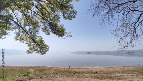 Lake, nature and tree view.