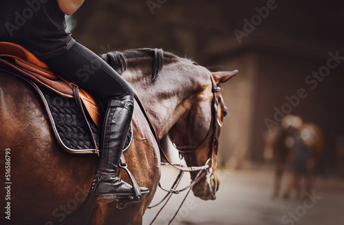 Fotografia A rider is sitting on a bay horse in the saddle
