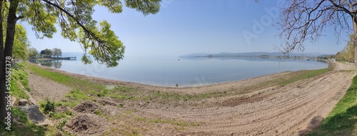 Lake, nature and tree view.