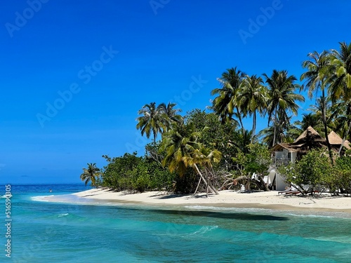 Fototapeta Naklejka Na Ścianę i Meble -  Pflanzen und Palmen auf Bandos - Malediven