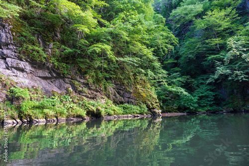 木々の緑が川面に反射して綺麗な清流猊鼻渓の舟下り