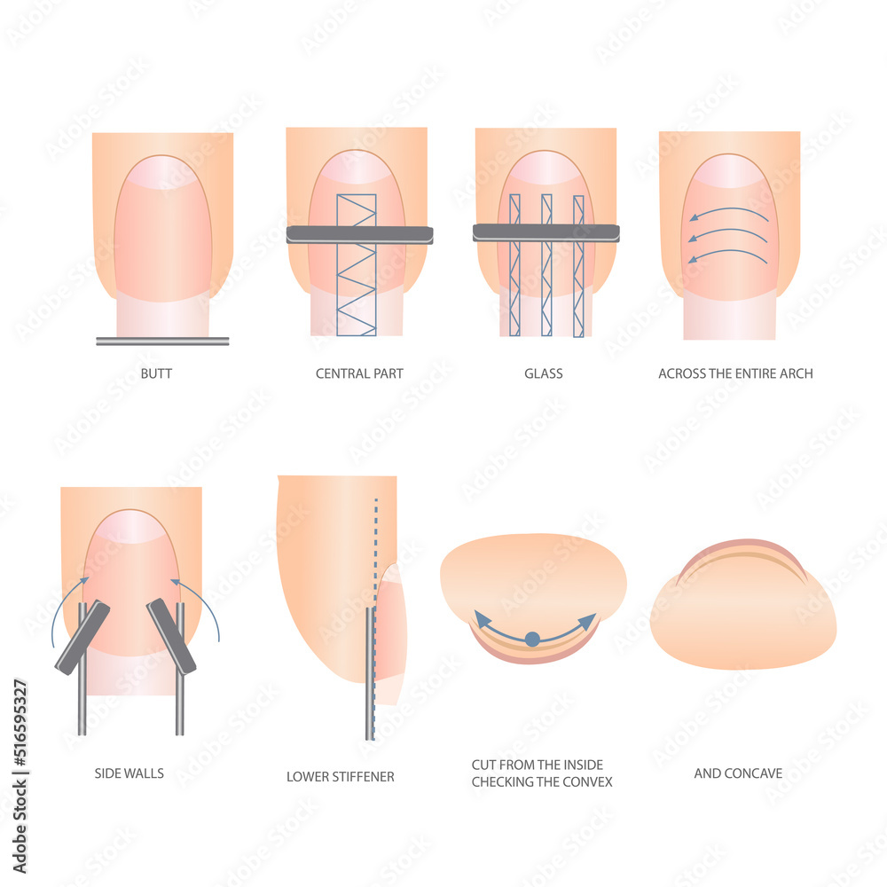 Guide to professional manicure, Vector, infographics. Training of ...