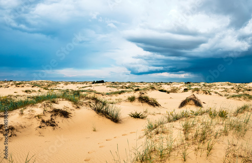 Oleshky Sands is a desert in Ukraine.