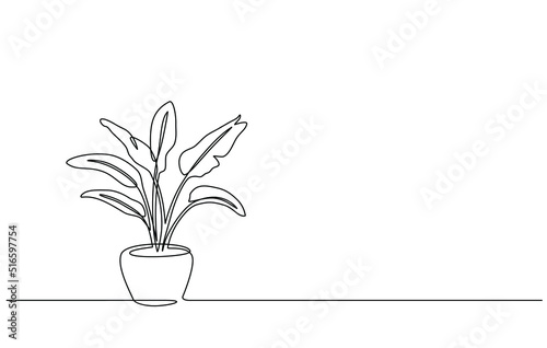 Continuous line drawing of a flowers in a pots. Tree in pot with single line art, Aesthetic Contour. Great for home decor, wall art posters, or T-shirt prints. Single line art of tree in doodle style