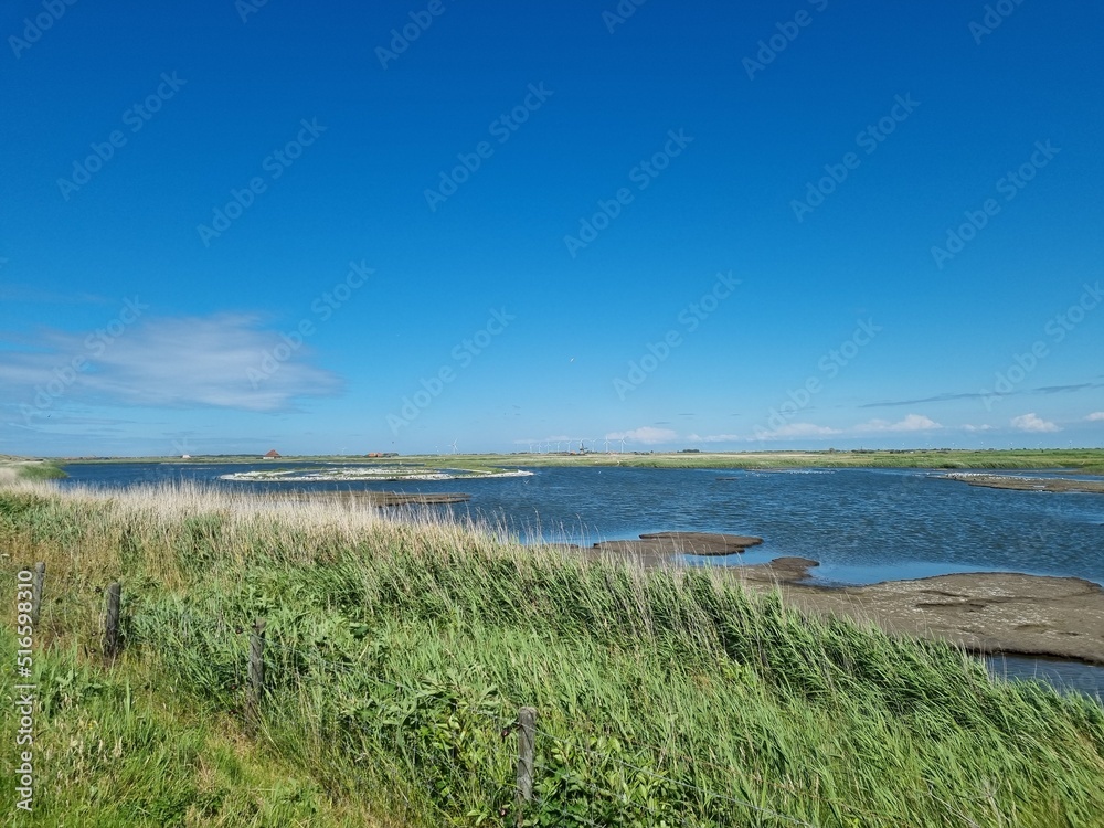 Bird breeding area 