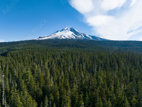 Mt. Hood rises from surrounding forest in Oregon, not far from Portland. This impressive mountain, part of the Cascade Range in the Pacific Northwest, is a potentially active stratovolcano. © ead72