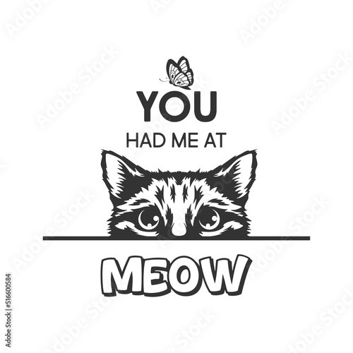 You Had Me At Meow. Vector Poster with Cat Quote and Monochrome Hand Drawn Black and White Hiding Peeking Cute Kitten. Funny Kitten is Peeking and Looking at the Butterfly