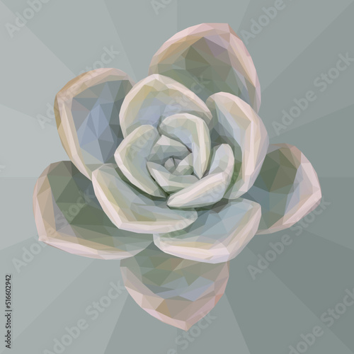 Low poly, geometrical, illustration of a faded green succulent on a teal geometrical background.