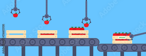 organic apples conveyor automatic line robotic arms packaging crates vector illustration