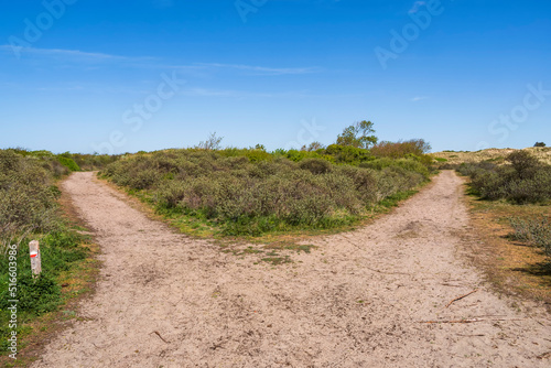 Crossroads in the nature reserve of the dune landscape of Egmond aan Zee Netherlands