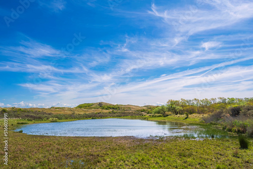 Small pond in the middle of the desert-like dune landscape near Egmond aan Zee/Netherlands