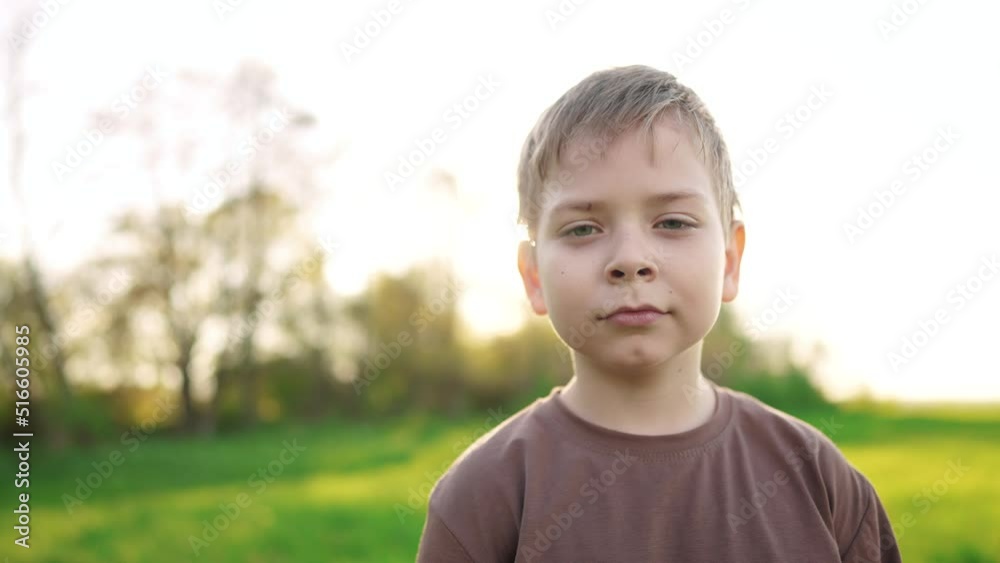 little boy outdoor portrait. happy family kid a dream concept. child close-up in the park in nature looking to the side. boy kid portrait in the background lifestyle grass forest park little boy outdoor portrait. happy family kid a dream concept. child close-up in the park in nature looking to the side. boy kid portrait in the background lifestyle grass forest park