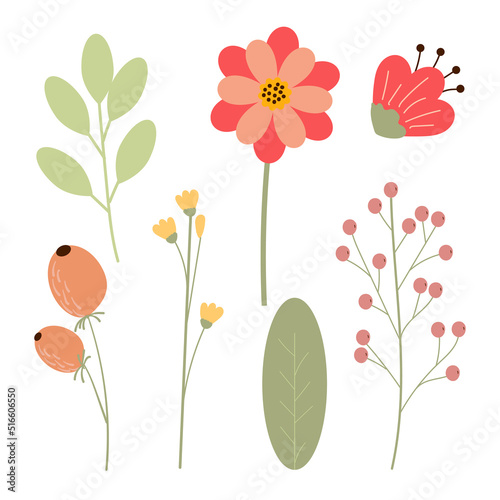 Set of hand drawing beautiful plants. Floral elements for your design flowers, berries, branches, leaves.