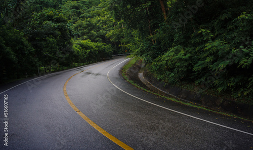 Mountain Road in tropical Forest 