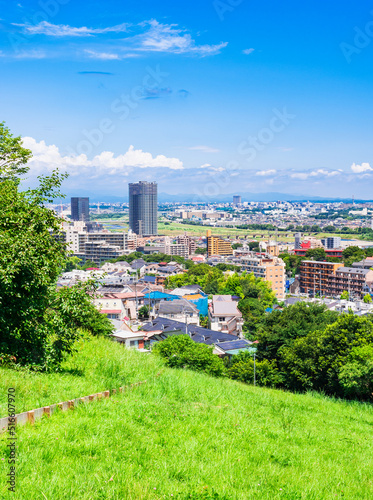 青空が広がる郊外の住宅地