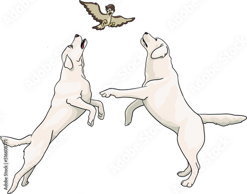 Labrador, two dogs hunting a bird, illustration, cartoon, vector, eps tosa inu, creamy, mastiff, 