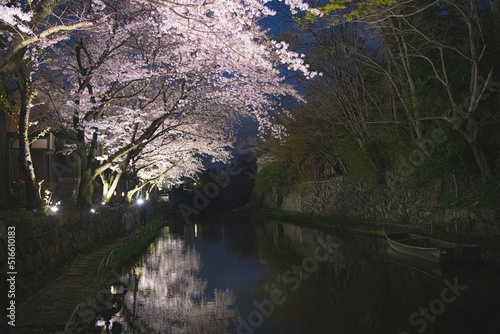 近江八幡 八幡堀の夜桜
