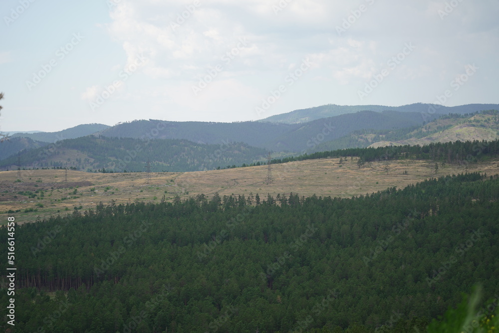 Obraz premium Summer Blooms