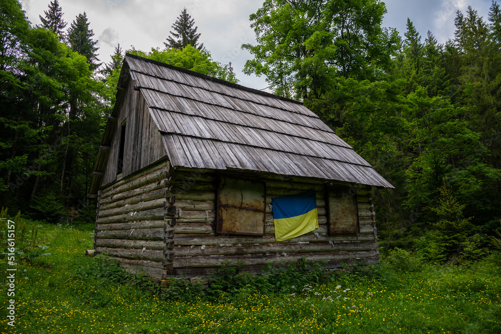 Wooden abandoned house with Ukrainian flag in the forest Wooden abandoned house with Ukrainian flag in the forest