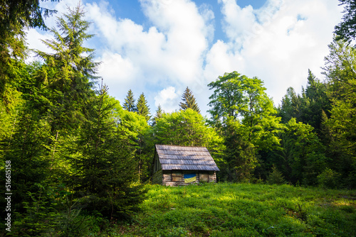 Wooden abandoned house with Ukrainian flag in the forest