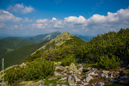 Colorful natural summer landscape in the Carpathian mountains. Landscape of summer mountains for wallpaper