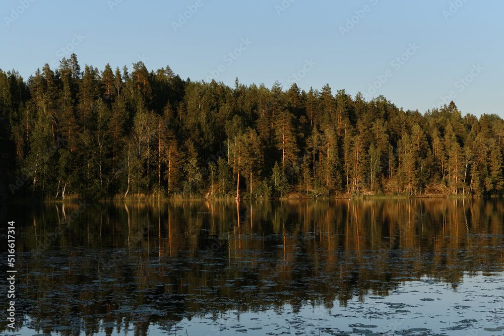 The concept of traveling in Russia. Quiet water surface and reflections of trees in river. Lake Yastrebinoe in summer at sunset Republic of Karelia. The concept of traveling in Russia. Quiet water surface and reflections of trees in river. Lake Yastrebinoe in summer at sunset Republic of Karelia.
