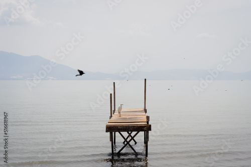 White bird on wooden pier and other one flying over Chapala Lake, Mexico. Natural landscape in Jalisco state photo
