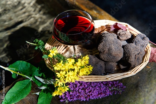 summer variety of truffle Tuber Aestivum in nature photo