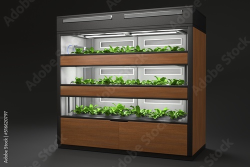 Smart shelving system that automatically grows herbs and vegetables. Indoor hydroponic garden at home growing