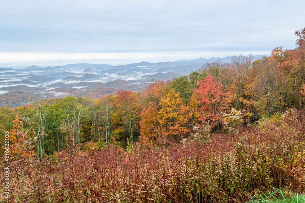 Autumn or fall colors looking down into Wilson Creek valley from parkway overlook over beautiful treetops into layers of mountain tops, fog moving between the peak’s shades of color horizontal photo 