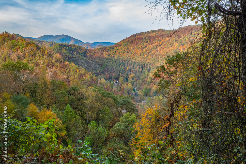 Beautiful fall view of a valley leading to mountain peaks in the distant it’s autumn, Great Smoky Mountains National Park NC bright colors everywhere. Photographed from overlook at Maggie Valley Beautiful fall view of a valley leading to mountain peaks in the distant it’s autumn, Great Smoky Mountains National Park NC bright colors everywhere. Photographed from overlook at Maggie Valley