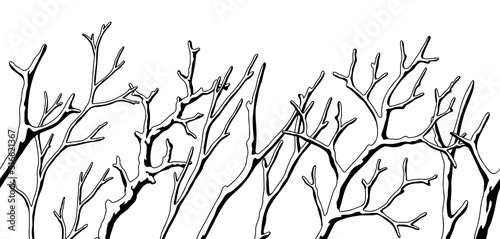 Murais de parede Seamless pattern with dry bare branches