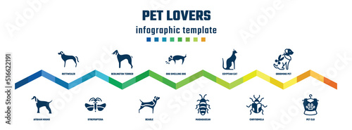 pet lovers concept infographic design template. included rottweiler, afghan hound, bedlington terrier, strepsiptera, dog smelling dog, beagle, egyptian cat, madagascan, grooming pet, pet clo icons.