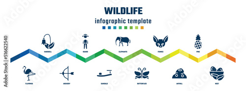 wildlife concept infographic design template. included harebell, flamingo, guard, archery, elephants, sandals, fennec, butterflies, pine, nest icons.