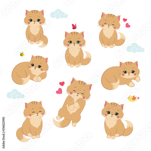 Set of a cute cat in different poses. Fluffy kitten cartoon vector illustration.