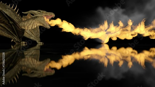 Realistic dragon breathes fire on a black background on a reflective surface. photo