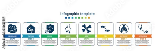 concept infographic design template. included microorganism, telework, immune, rhinitis, bone, eyes, respiratory, stethoscope icons and 8 steps or options.