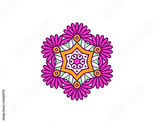 Mandala in ethnic style vector